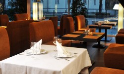 Suspendisse arcu nisl